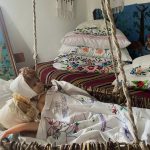 558225450_1896031730977948_5760433232194104879_n